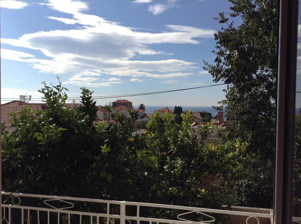 Guest House Sofija Dubrovnik Rum bild